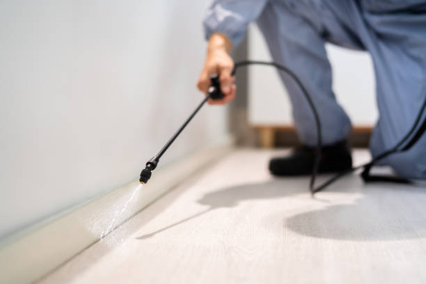 Licensed Pest Control service in Leetonia, OH - Show Me Pest Control
