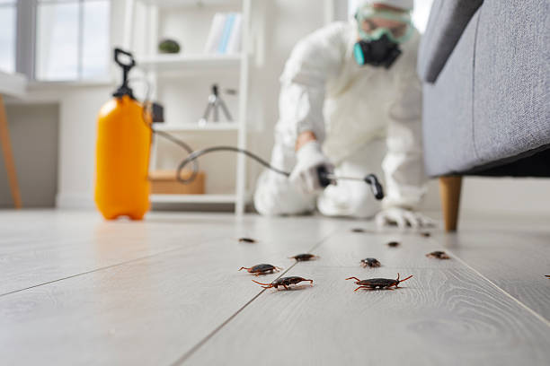 Post-Treatment Bed Bug Interceptor Monitoring in Leetonia
