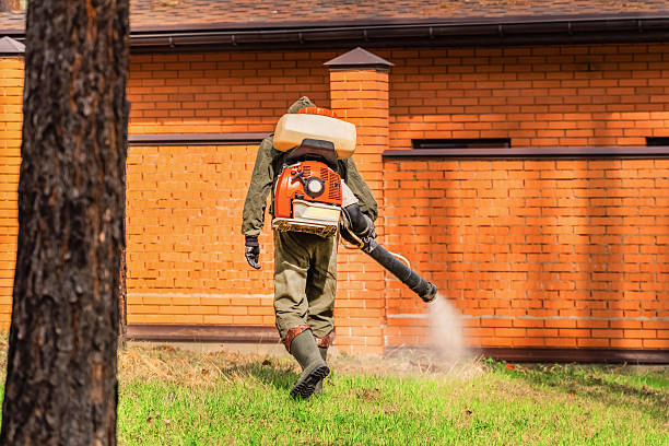 Bed Bug Clearance Verification and Documentation in Leetonia